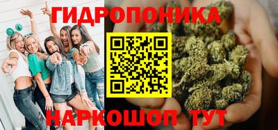 молекула духа Ливны