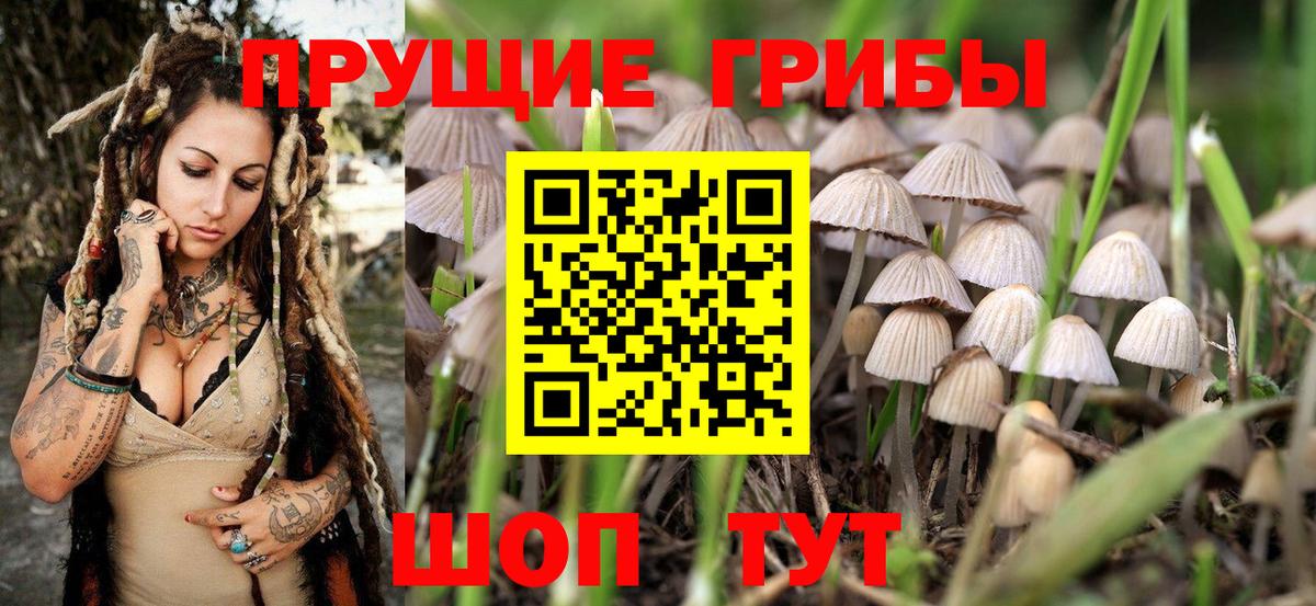 Электрогорск  Галлюциногенные грибы мухоморы  Вход с VPN  Галлюциногенные грибы Magic Shrooms 